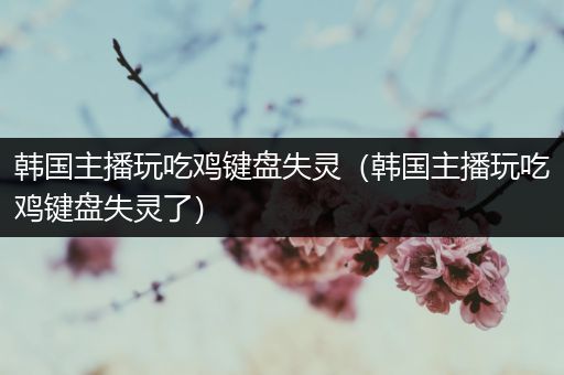 韩国主播玩吃鸡键盘失灵（韩国主播玩吃鸡键盘失灵了）