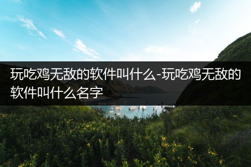 玩吃鸡无敌的软件叫什么-玩吃鸡无敌的软件叫什么名字