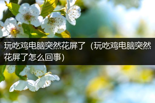 玩吃鸡电脑突然花屏了（玩吃鸡电脑突然花屏了怎么回事）