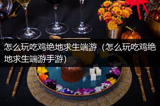 怎么玩吃鸡绝地求生端游（怎么玩吃鸡绝地求生端游手游）