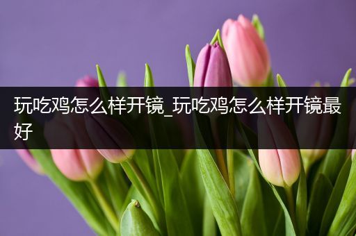 玩吃鸡怎么样开镜_玩吃鸡怎么样开镜最好
