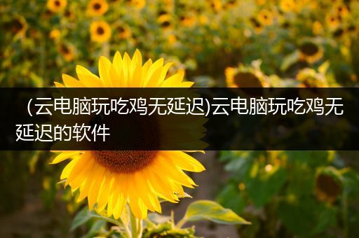 （云电脑玩吃鸡无延迟)云电脑玩吃鸡无延迟的软件