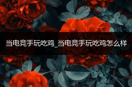 当电竞手玩吃鸡_当电竞手玩吃鸡怎么样