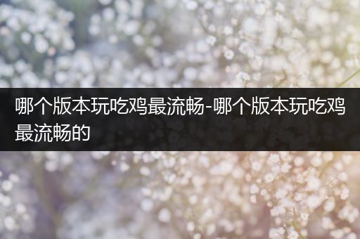 哪个版本玩吃鸡最流畅-哪个版本玩吃鸡最流畅的