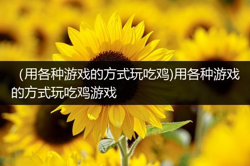 （用各种游戏的方式玩吃鸡)用各种游戏的方式玩吃鸡游戏