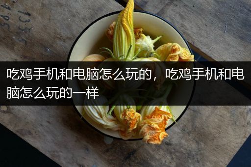 吃鸡手机和电脑怎么玩的，吃鸡手机和电脑怎么玩的一样