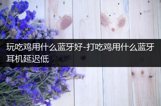 玩吃鸡用什么蓝牙好-打吃鸡用什么蓝牙耳机延迟低