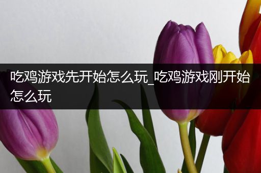 吃鸡游戏先开始怎么玩_吃鸡游戏刚开始怎么玩
