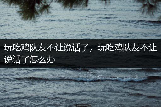 玩吃鸡队友不让说话了，玩吃鸡队友不让说话了怎么办