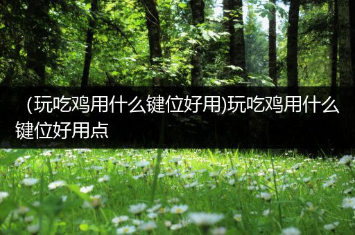 （玩吃鸡用什么键位好用)玩吃鸡用什么键位好用点
