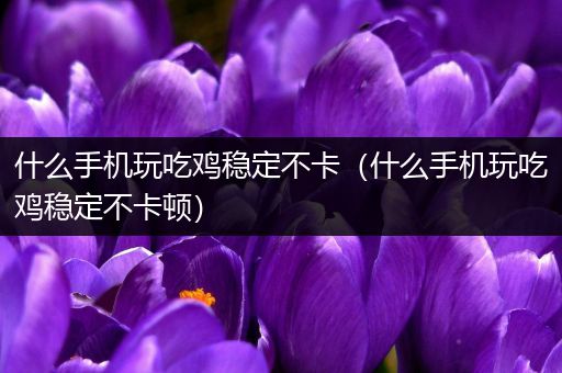 什么手机玩吃鸡稳定不卡（什么手机玩吃鸡稳定不卡顿）