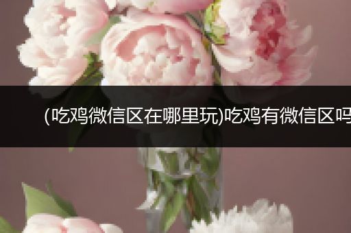 （吃鸡微信区在哪里玩)吃鸡有微信区吗