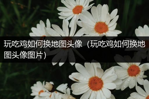 玩吃鸡如何换地图头像（玩吃鸡如何换地图头像图片）