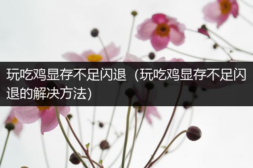 玩吃鸡显存不足闪退（玩吃鸡显存不足闪退的解决方法）