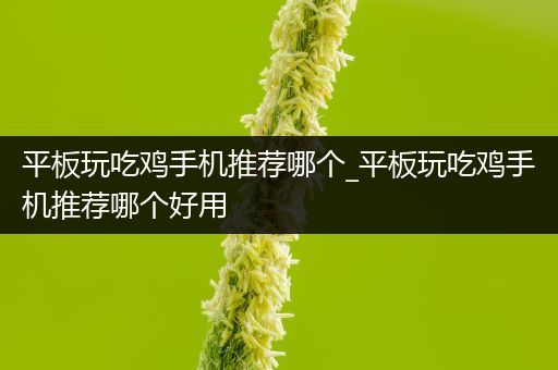 平板玩吃鸡手机推荐哪个_平板玩吃鸡手机推荐哪个好用