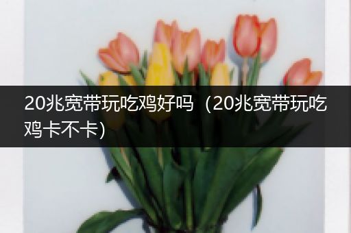 20兆宽带玩吃鸡好吗（20兆宽带玩吃鸡卡不卡）