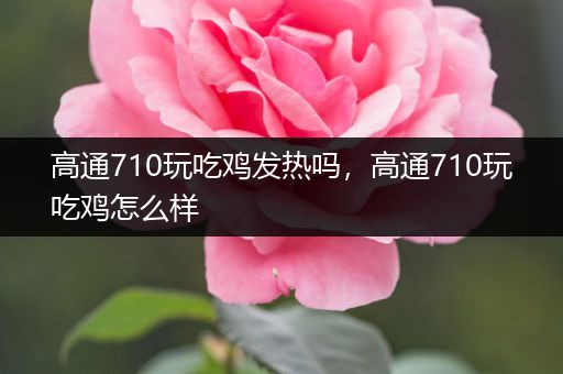 高通710玩吃鸡发热吗，高通710玩吃鸡怎么样