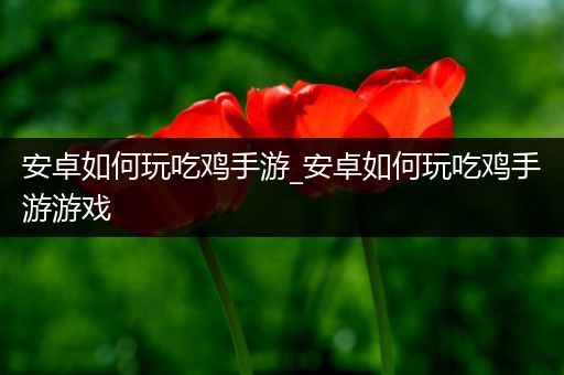安卓如何玩吃鸡手游_安卓如何玩吃鸡手游游戏