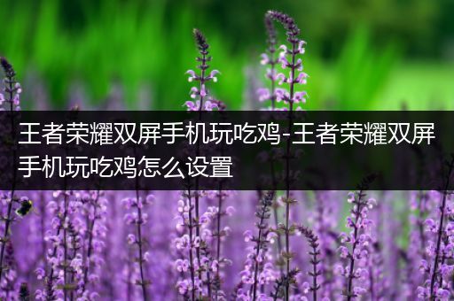 王者荣耀双屏手机玩吃鸡-王者荣耀双屏手机玩吃鸡怎么设置