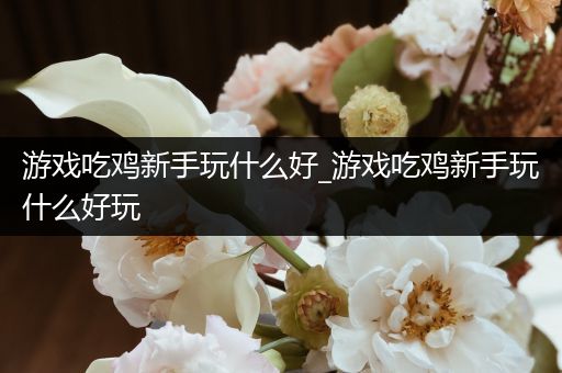 游戏吃鸡新手玩什么好_游戏吃鸡新手玩什么好玩