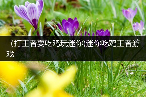 （打王者耍吃鸡玩迷你)迷你吃鸡王者游戏
