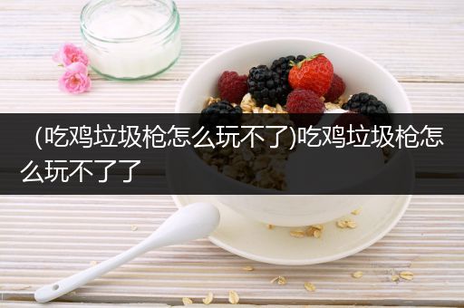 （吃鸡垃圾枪怎么玩不了)吃鸡垃圾枪怎么玩不了了