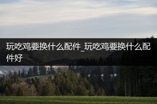 玩吃鸡要换什么配件_玩吃鸡要换什么配件好