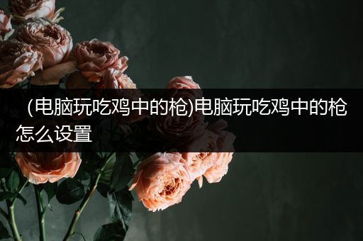 （电脑玩吃鸡中的枪)电脑玩吃鸡中的枪怎么设置