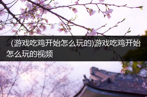 （游戏吃鸡开始怎么玩的)游戏吃鸡开始怎么玩的视频