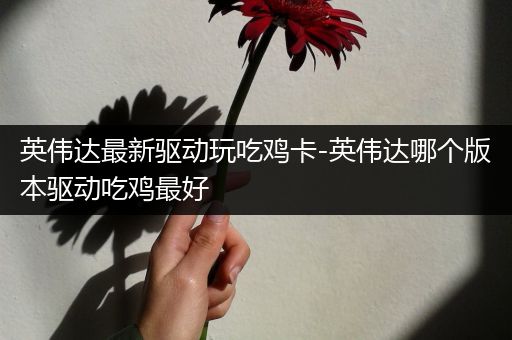 英伟达最新驱动玩吃鸡卡-英伟达哪个版本驱动吃鸡最好