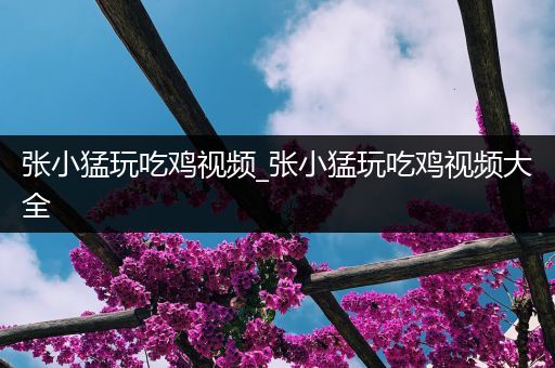 张小猛玩吃鸡视频_张小猛玩吃鸡视频大全