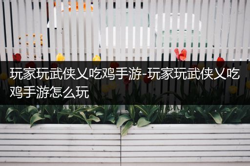 玩家玩武侠乂吃鸡手游-玩家玩武侠乂吃鸡手游怎么玩