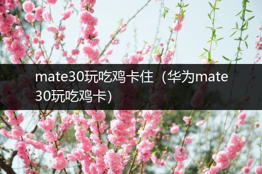 mate30玩吃鸡卡住（华为mate30玩吃鸡卡）