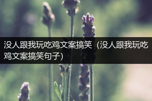 没人跟我玩吃鸡文案搞笑（没人跟我玩吃鸡文案搞笑句子）
