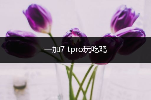 一加7 tpro玩吃鸡