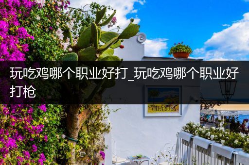 玩吃鸡哪个职业好打_玩吃鸡哪个职业好打枪