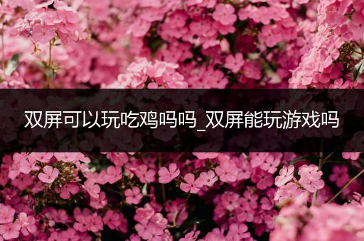 双屏可以玩吃鸡吗吗_双屏能玩游戏吗
