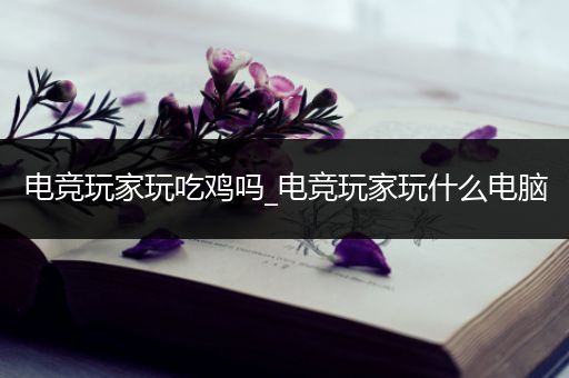 电竞玩家玩吃鸡吗_电竞玩家玩什么电脑