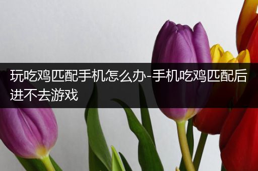 玩吃鸡匹配手机怎么办-手机吃鸡匹配后进不去游戏