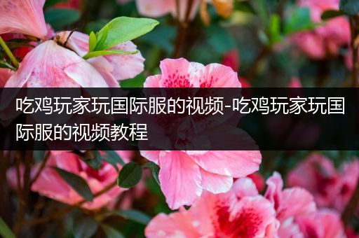 吃鸡玩家玩国际服的视频-吃鸡玩家玩国际服的视频教程