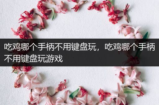 吃鸡哪个手柄不用键盘玩，吃鸡哪个手柄不用键盘玩游戏