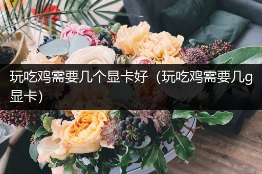 玩吃鸡需要几个显卡好（玩吃鸡需要几g显卡）