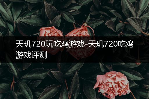 天玑720玩吃鸡游戏-天玑720吃鸡游戏评测