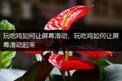 玩吃鸡如何让屏幕滑动，玩吃鸡如何让屏幕滑动起来