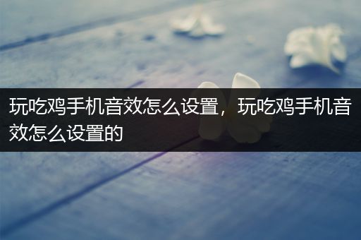 玩吃鸡手机音效怎么设置，玩吃鸡手机音效怎么设置的