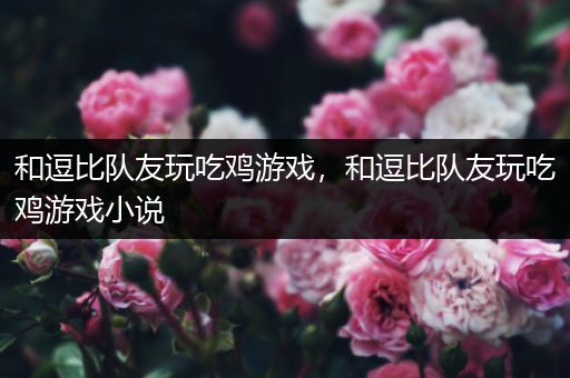 和逗比队友玩吃鸡游戏，和逗比队友玩吃鸡游戏小说