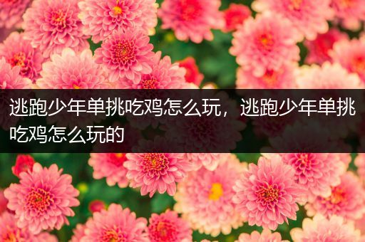 逃跑少年单挑吃鸡怎么玩，逃跑少年单挑吃鸡怎么玩的