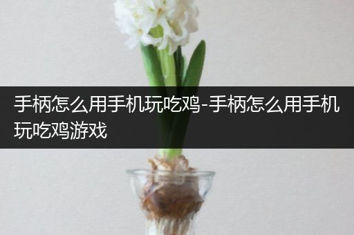 手柄怎么用手机玩吃鸡-手柄怎么用手机玩吃鸡游戏