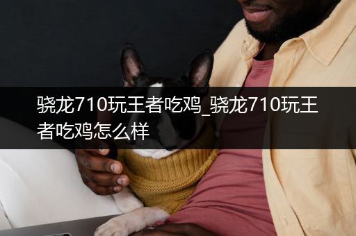 骁龙710玩王者吃鸡_骁龙710玩王者吃鸡怎么样