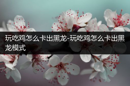 玩吃鸡怎么卡出黑龙-玩吃鸡怎么卡出黑龙模式